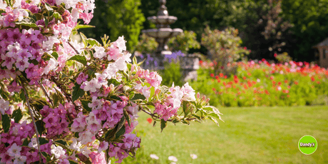 5 Summer Landscaping Essentials for June - Dandy's Topsoil & Landscape Supplies