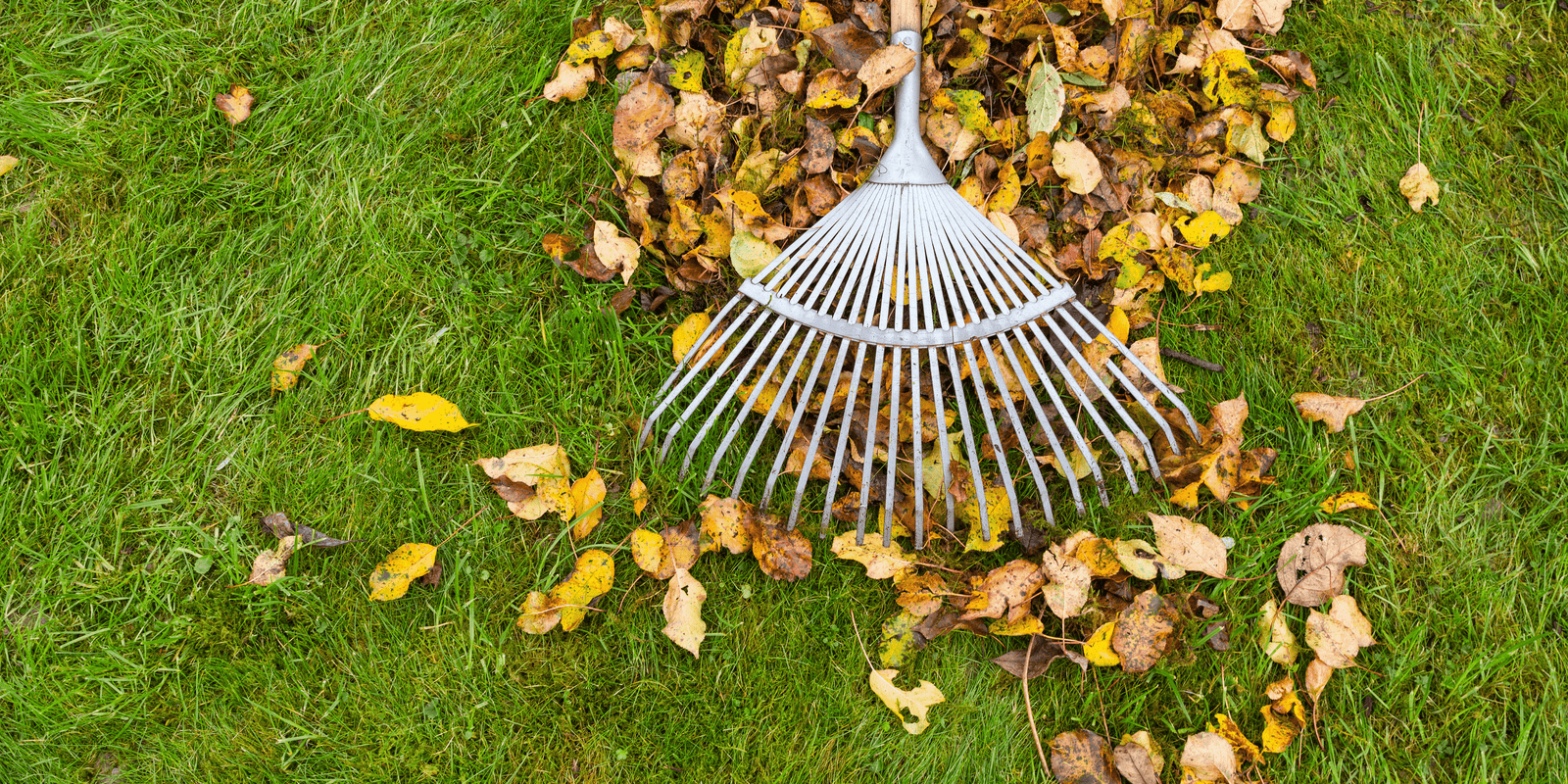 Late Autumn Gardening Tips... - Dandy's Topsoil & Landscape Supplies
