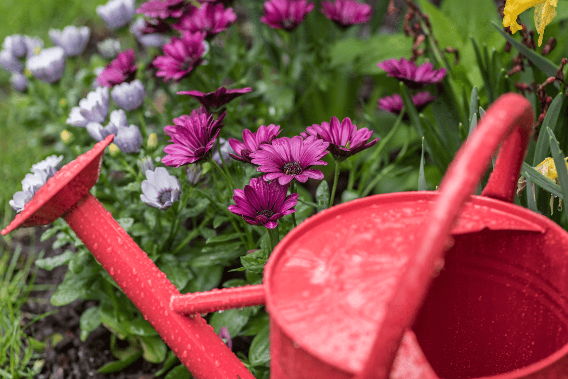 National Lawn and Garden Month - Dandy's Topsoil & Landscape Supplies