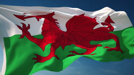 Dandys to fly biggest Welsh flag in UK to welcome visitors back after lockdown - Dandy's Topsoil & Landscape Supplies