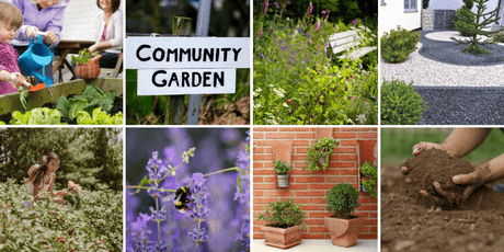 2023 Gardening Trends - Dandy's Topsoil & Landscape Supplies