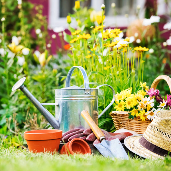 Summer Ready Gardens