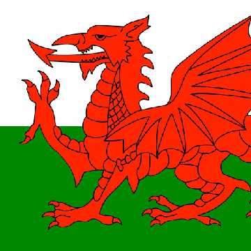 HAPPY ST DAVID'S DAY!