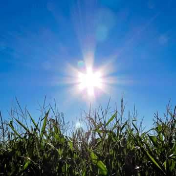 It's Hotting Up Out There...