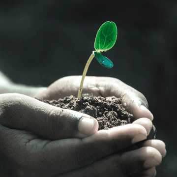 LAUNCHING SOON... BRAND NEW TOPSOIL BLEND!