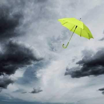 Let's talk about Storm Doris! - Dandy's Topsoil & Landscape Supplies