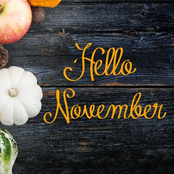 November Gardening...