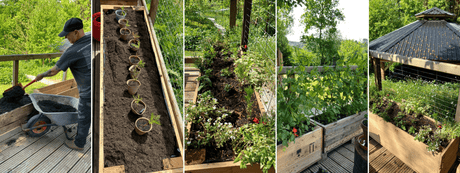 Supporting People and the Planet: Discover Outside Lives with Dandy’s Peat Free Compost - Dandy's Topsoil & Landscape Supplies