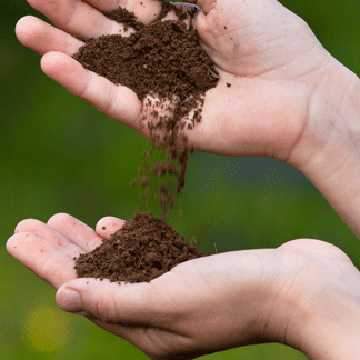 Topsoil Testing at Dandy's - Dandy's Topsoil & Landscape Supplies