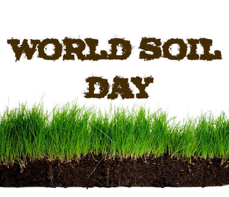 World Soil Day 2017... - Dandy's Topsoil & Landscape Supplies