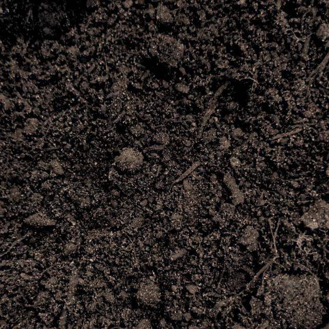Premium Multi Purpose Compost 0 - 10mm