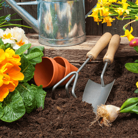 Summermix Compost by Dandy's