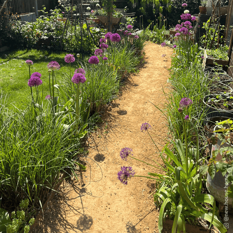 Hoggin Self Binding Gravel 10mm to dust - Dandy's Topsoil & Landscape Supplies