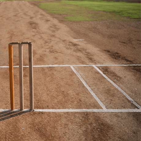 Horticultural Silica Sand - Dandy's Topsoil & Landscape Supplies