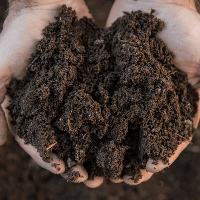 Dandy's Topsoil & Landscape Supplies