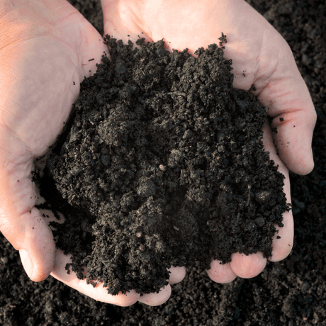 Bordermix® Welsh Topsoil Sample - Dandy's Topsoil & Landscape Supplies