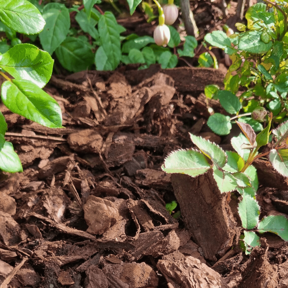 Dandy's Premium Pine Bark 50ltr