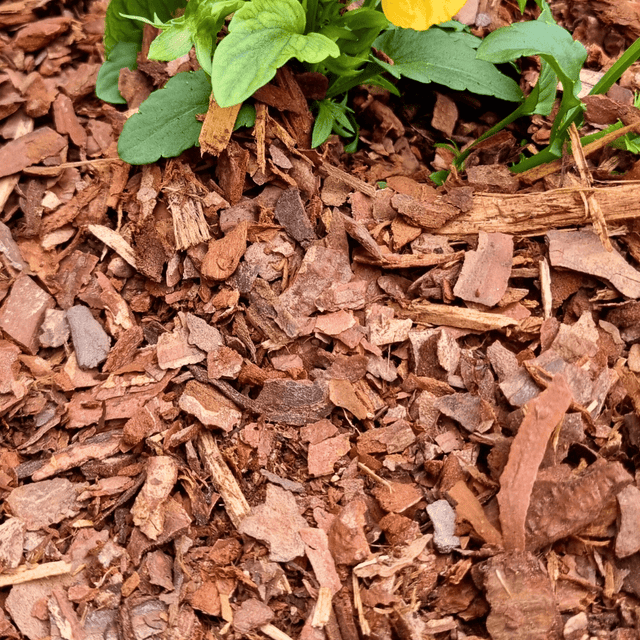 Mini Border bark chips by Dandy's Premium Range
