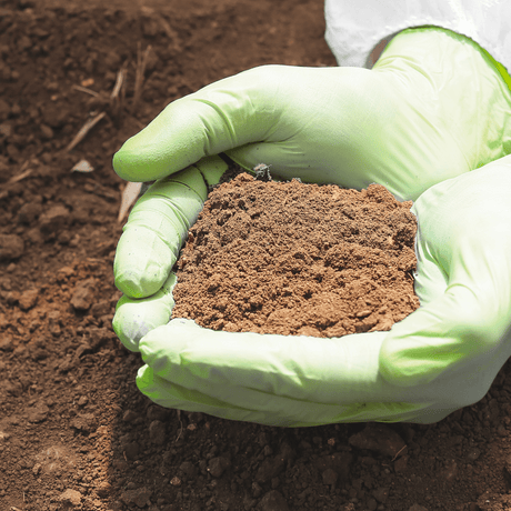 Rootzone Sand and Soil Mix Sample - Dandy's Topsoil & Landscape Supplies