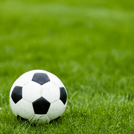 Sports Sand Dressing - Dandy's Topsoil & Landscape Supplies