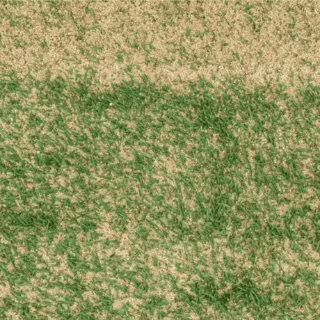 Sports Sand Dressing - Dandy's Topsoil & Landscape Supplies