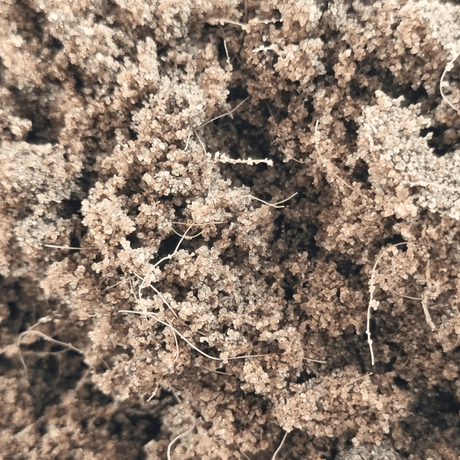 Rootzone Stabilised Substrate Sand - Dandy's Topsoil & Landscape Supplies