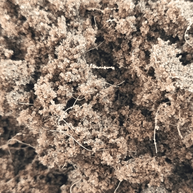 Rootzone Stabilised Substrate Sand - Dandy's Topsoil & Landscape Supplies