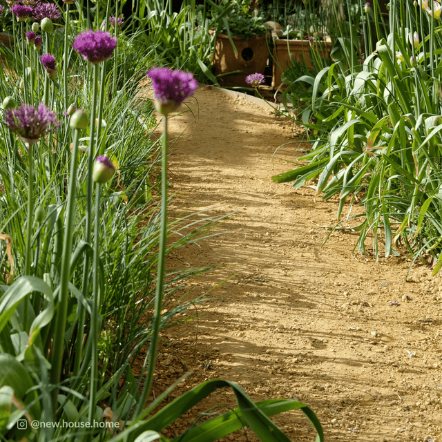 Hoggin Self Binding Gravel 10mm to dust - Dandy's Topsoil & Landscape Supplies