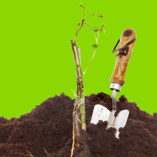 Bloom & Root® Rose Blend Topsoil - Dandy's Topsoil & Landscape Supplies