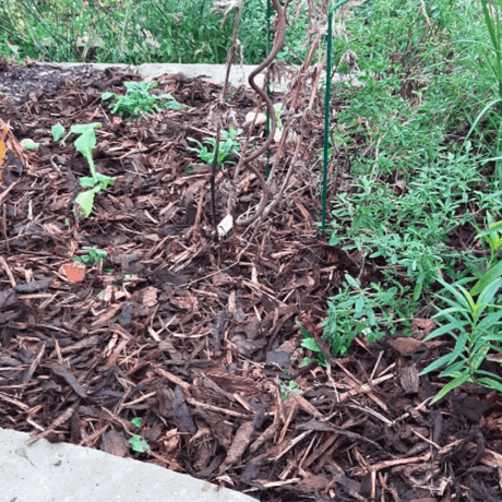 Winter Garden Bark Mulch - Dandy's Topsoil & Landscape Supplies
