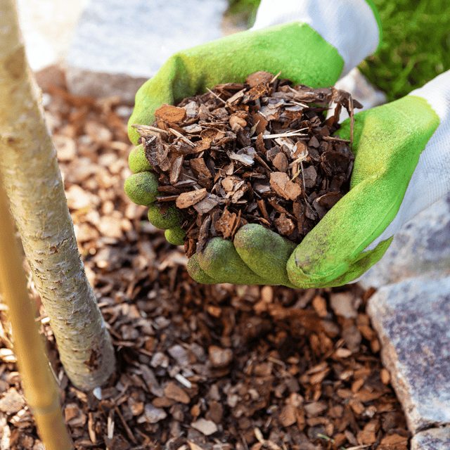 Premium Border Bark Fines - Dandy's Topsoil & Landscape Supplies