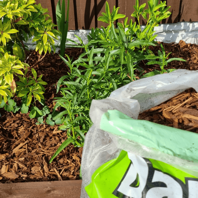 Premium Border Landscaping Bark Mulch - Dandy's Topsoil & Landscape Supplies