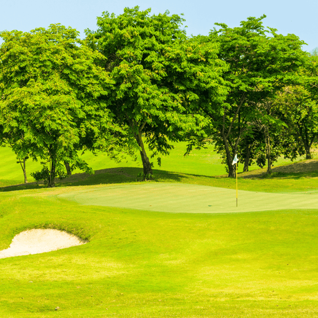 Sports Sand Dressing - Dandy's Topsoil & Landscape Supplies