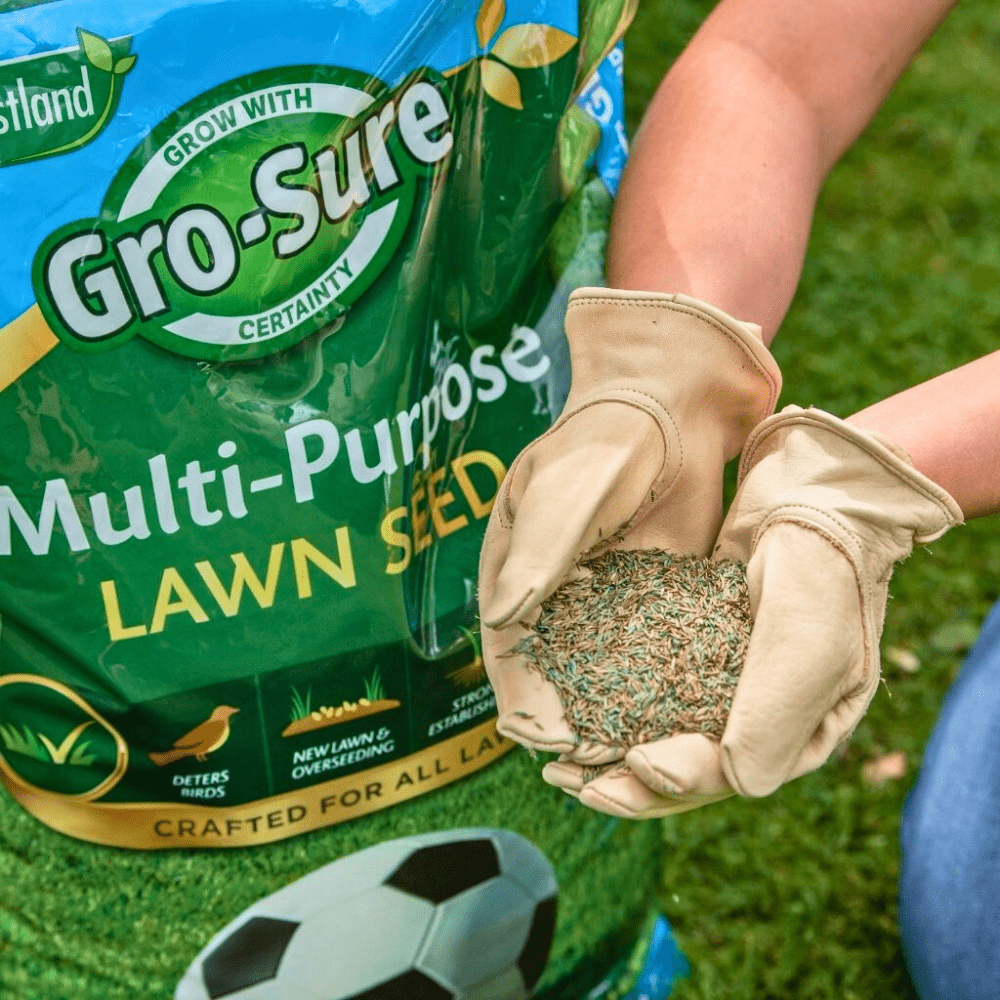 Person holding lawn seed with Gro-Sure multi-purpose lawn seed packet in the background