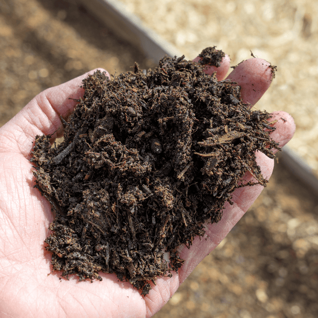 Horse and Chicken Manure / Mushroom Compost Sample - Dandy's Topsoil & Landscape Supplies
