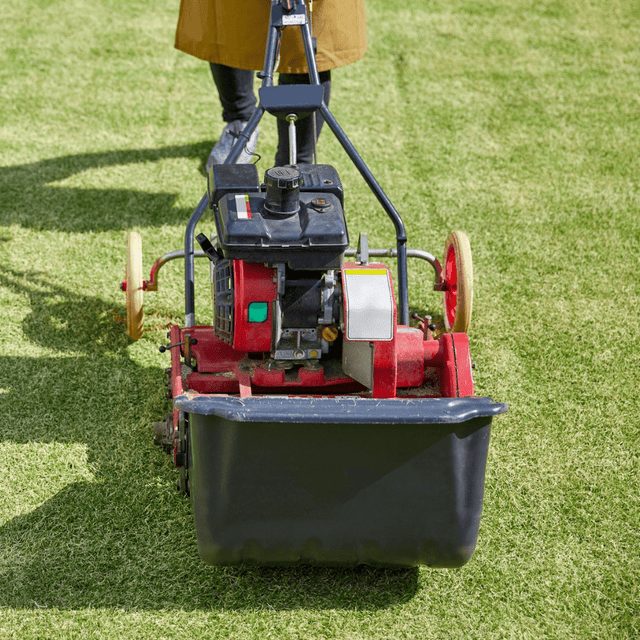 Sports Sand Dressing - Dandy's Topsoil & Landscape Supplies