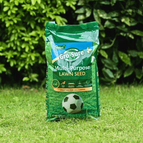 Multi-Purpose Lawn Grass Seed 120m2