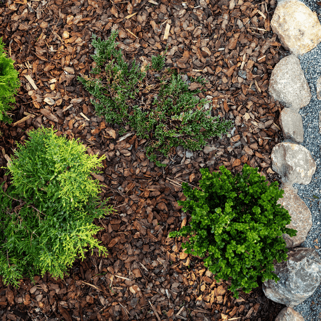 Premium Border Bark Fines - Dandy's Topsoil & Landscape Supplies