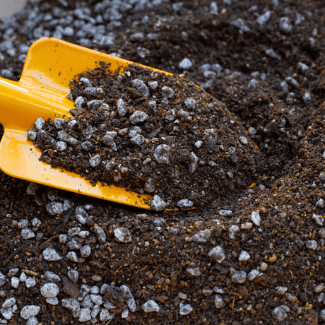 Dandy's TreeMix Soil | Dandys