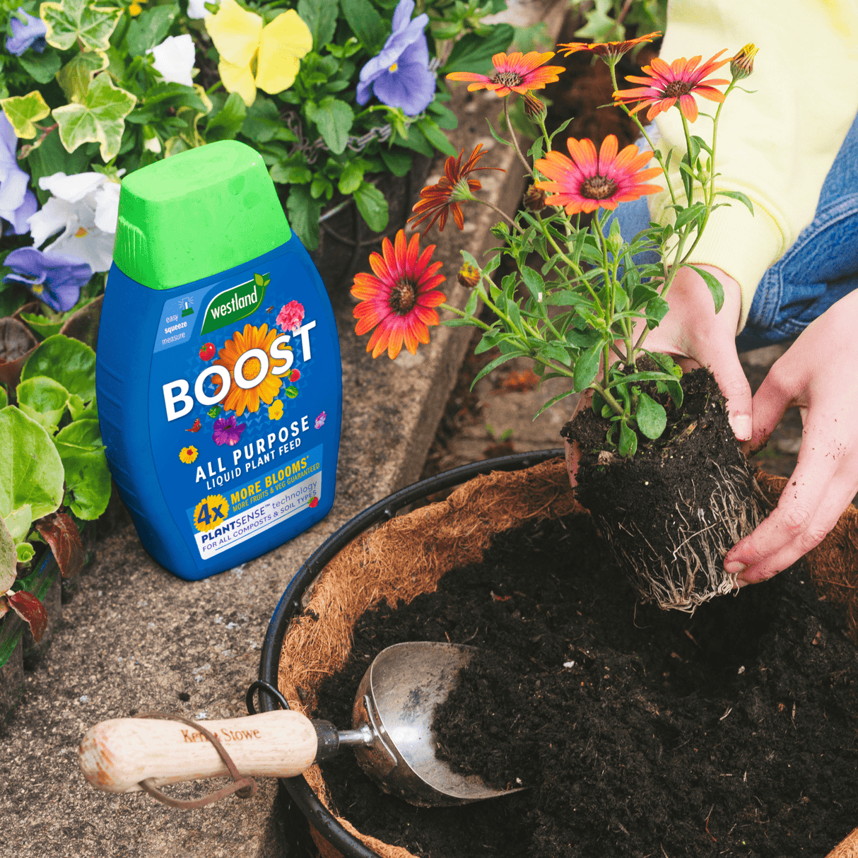 Boost All Purpose Liquid Plant Food 1ltr - Dandy's Topsoil & Landscape Supplies