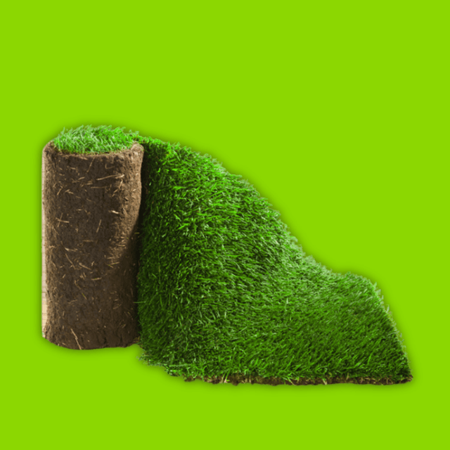 Click and Collect Lawn Turf m2 rolls - Special Offer (Collection only). - Dandy's Topsoil & Landscape Supplies
