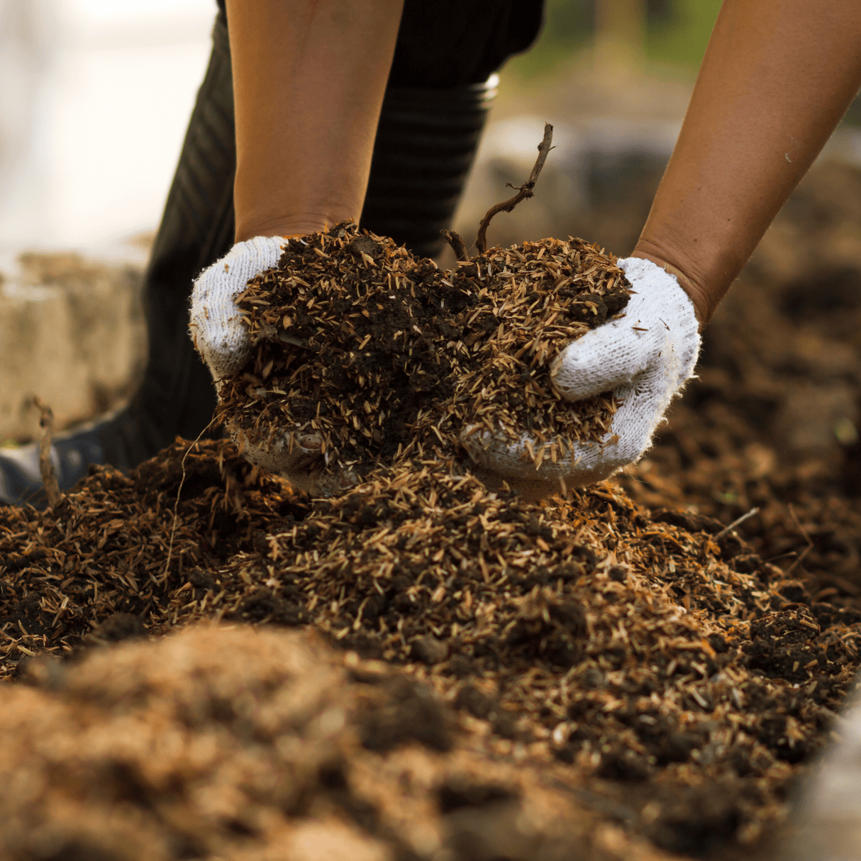 AutumnMix Compost - Dandy's Topsoil & Landscape Supplies