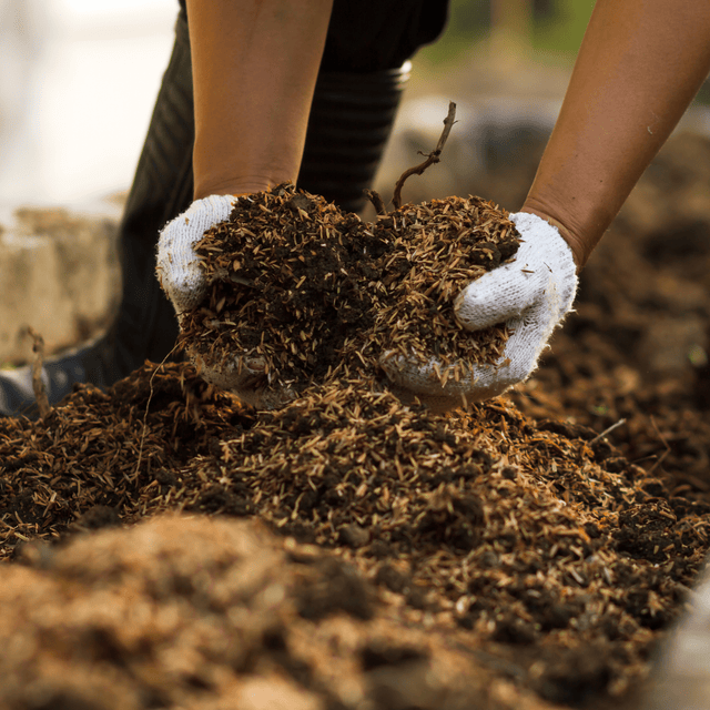 AutumnMix Compost - Dandy's Topsoil & Landscape Supplies