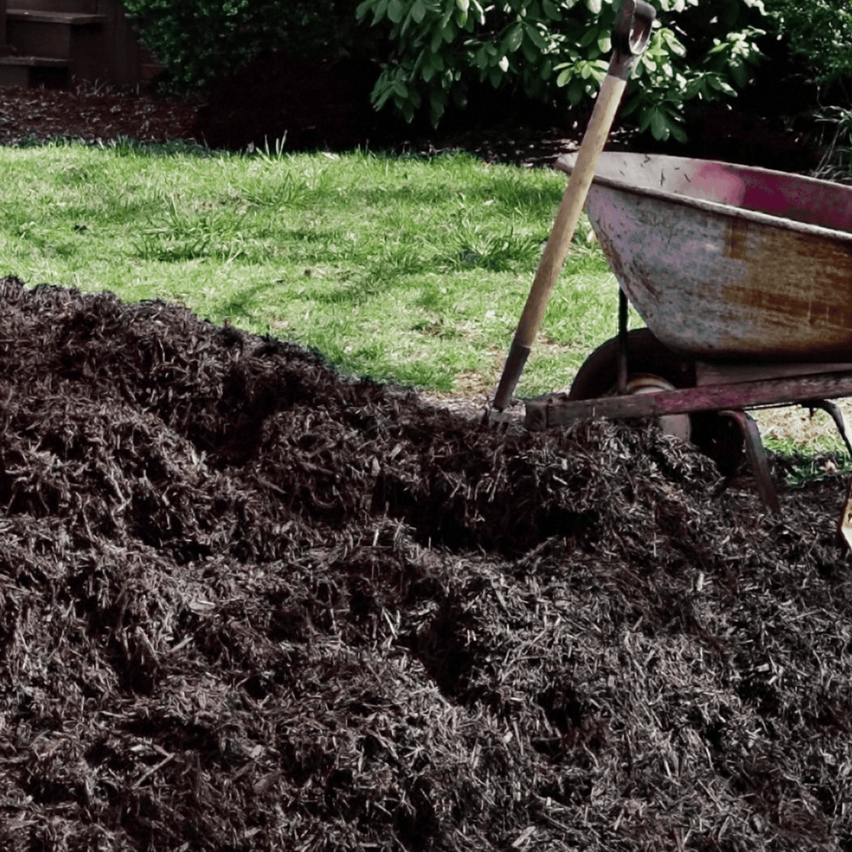 AutumnMix Compost - Dandy's Topsoil & Landscape Supplies