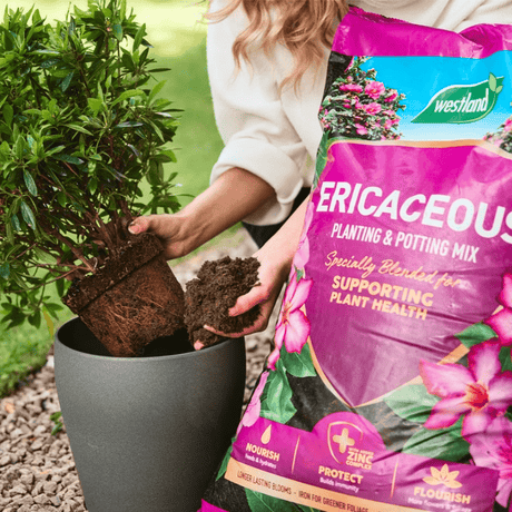 Click and Collect 3 x Ericaceous 50ltr - Dandy's Topsoil & Landscape Supplies