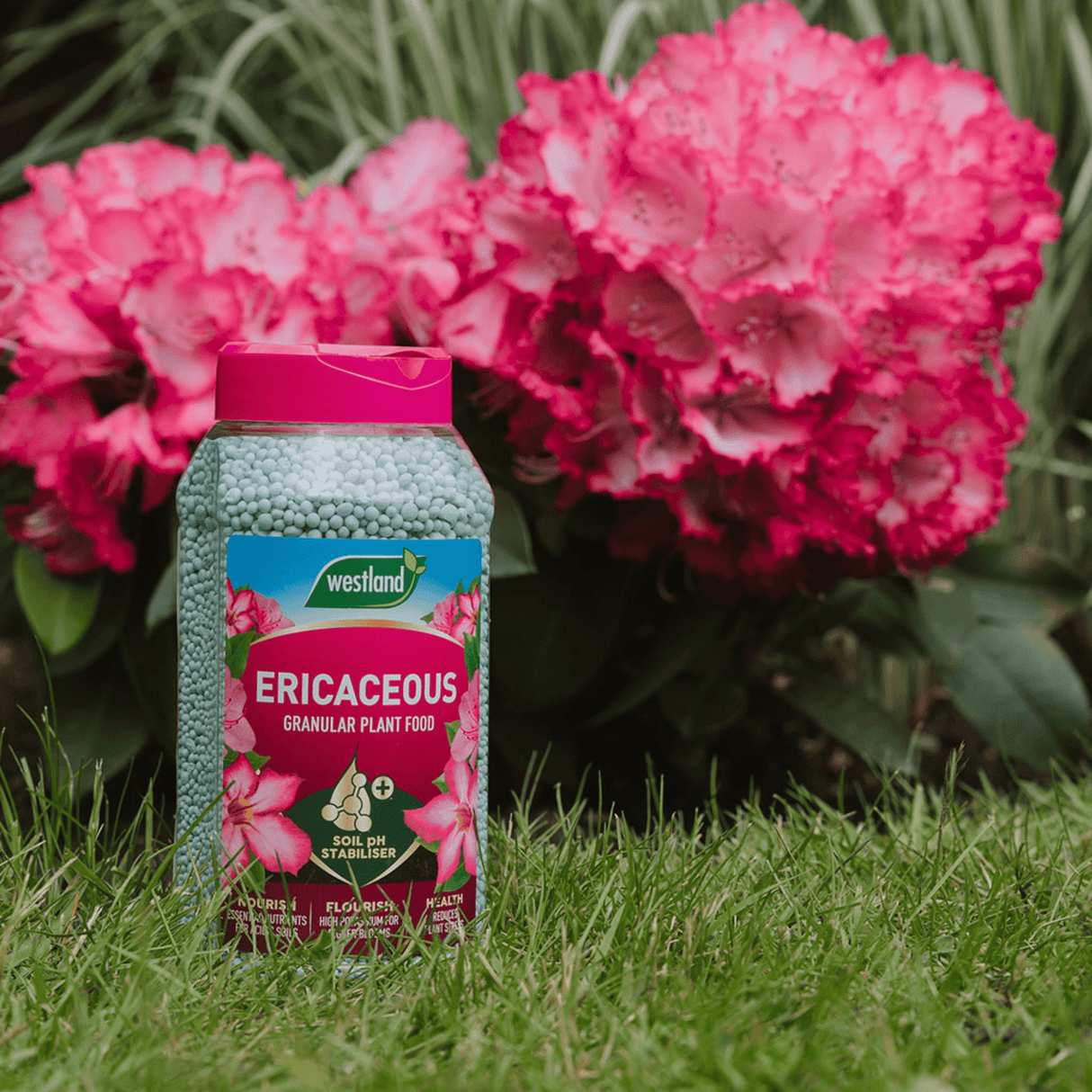 Add - on Ericaceous Specialist Plant Food Granules 900g - Dandy's Topsoil & Landscape Supplies