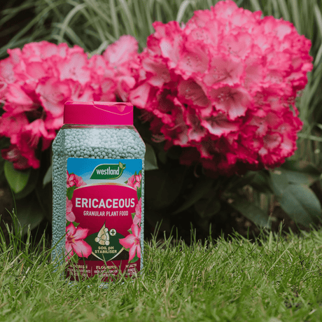 Add - on Ericaceous Specialist Plant Food Granules 900g - Dandy's Topsoil & Landscape Supplies