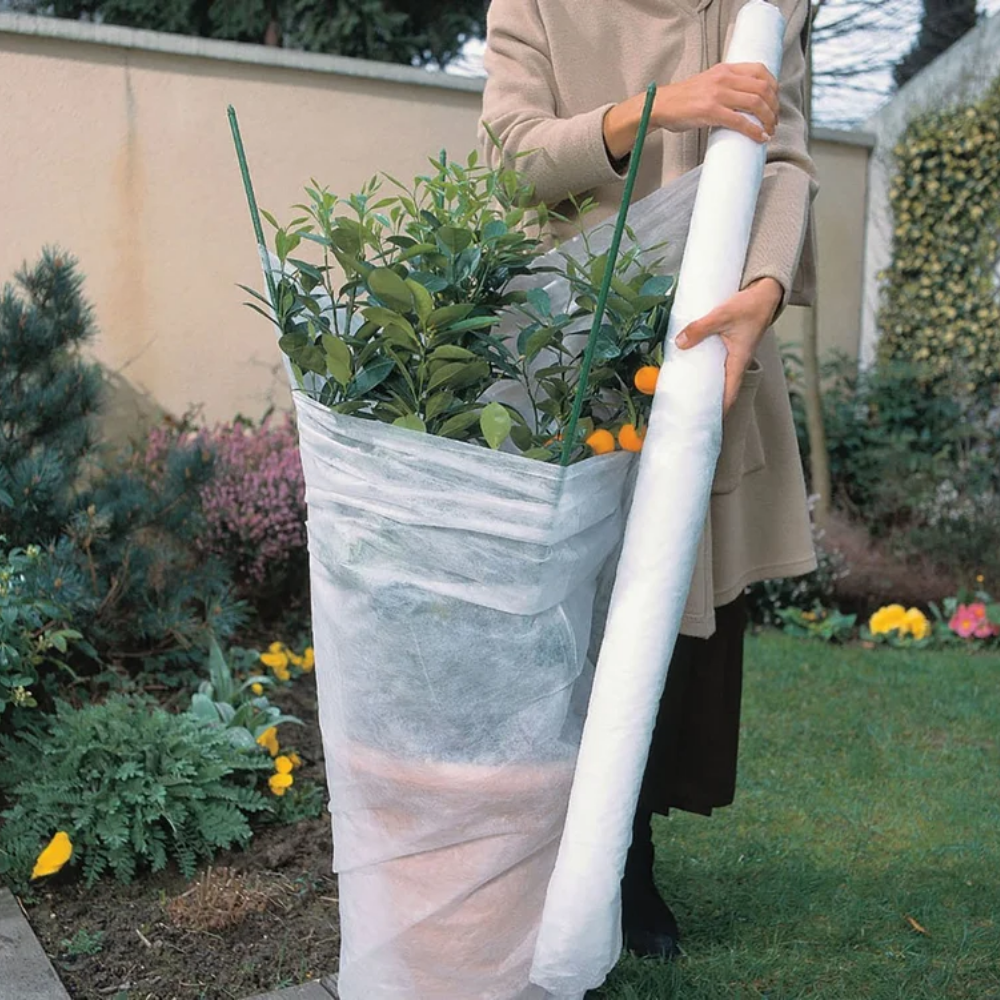 FROST FLEECE