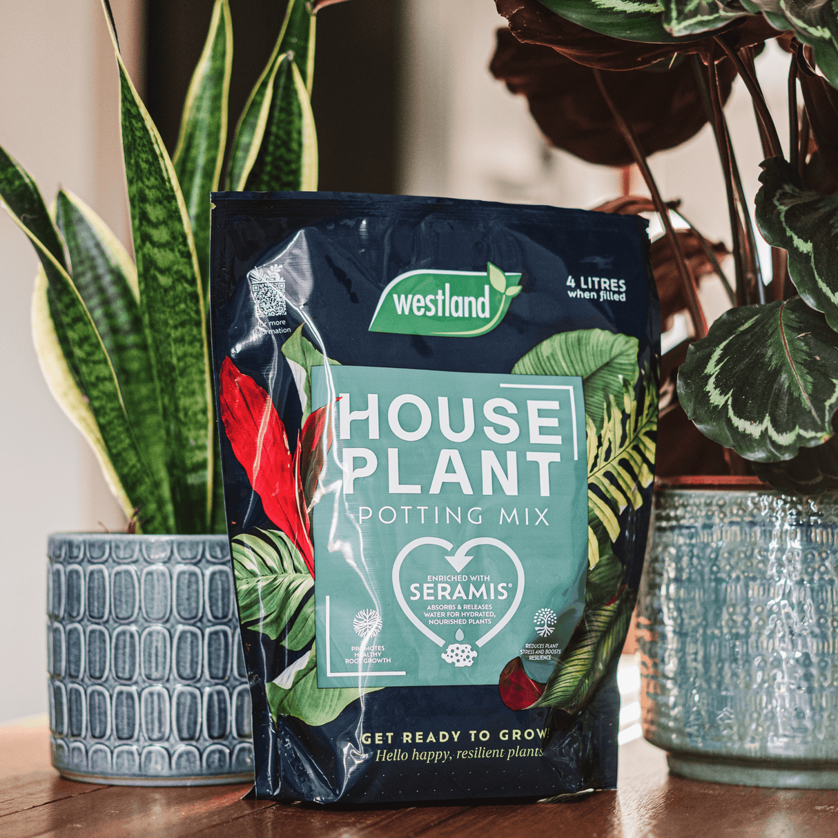 House Plant Potting Mix 4ltr - Dandy's Topsoil & Landscape Supplies