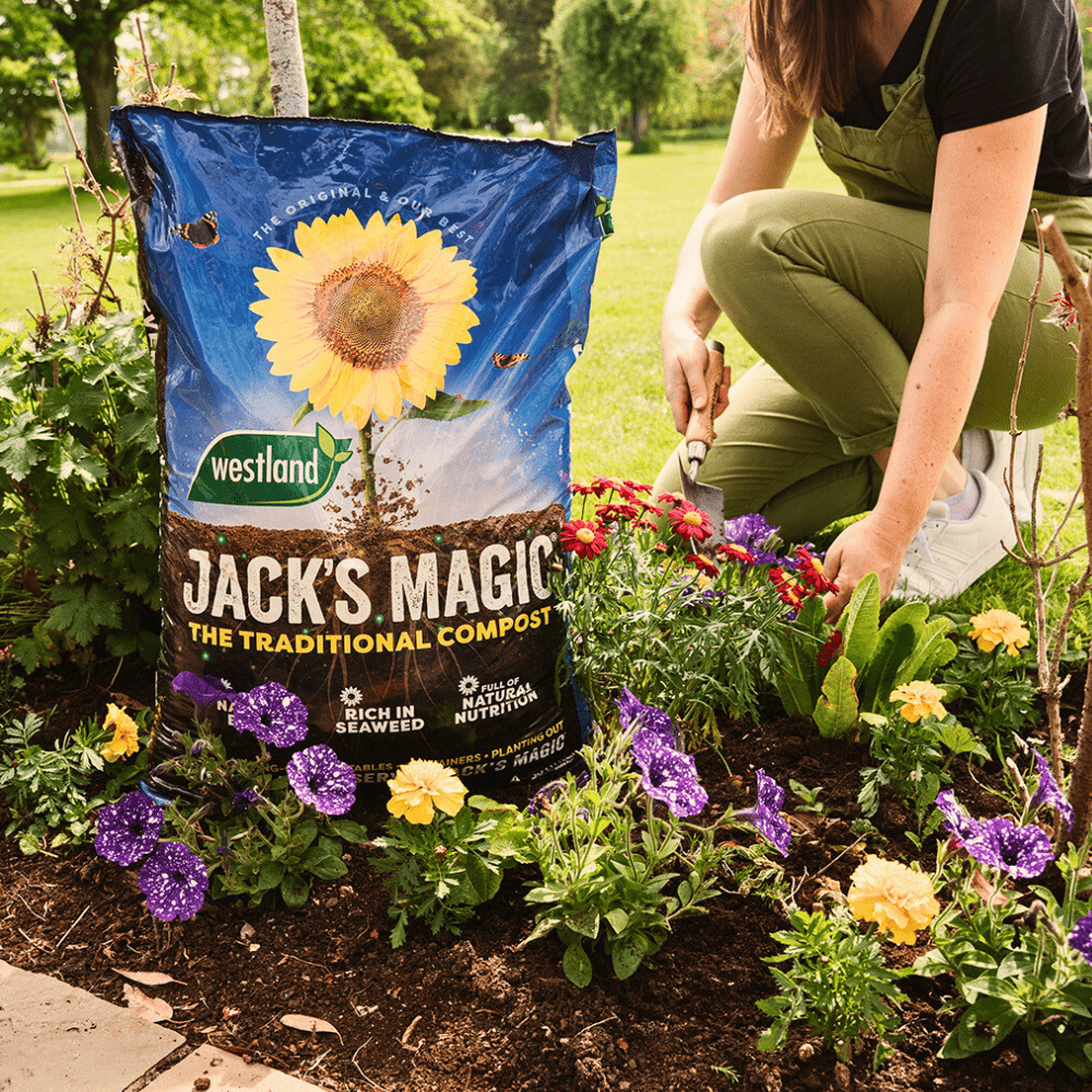 Jack's Magic All Purpose Compost - Dandys Landscape Supplies